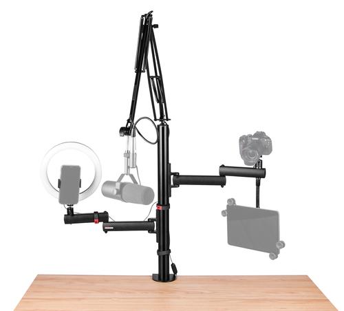 All-In-One Content Creator Tree with Light, Mic & Camera Attachment