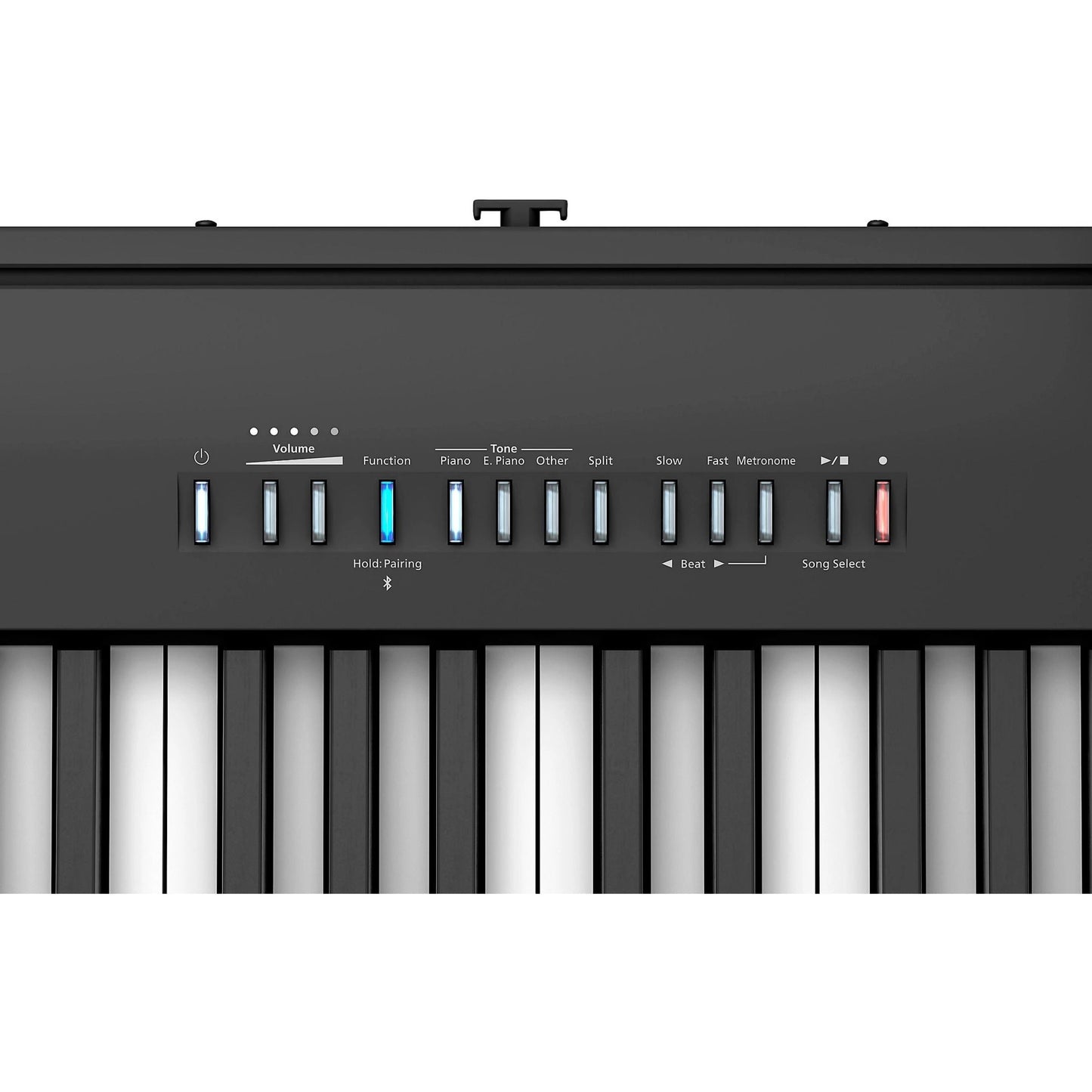 FP-30X Digital Piano