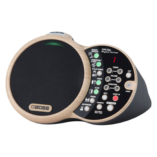 DR01S Rhythm Partner