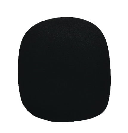 WSM Windscreen