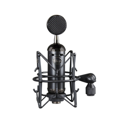 Blackout Spark SL