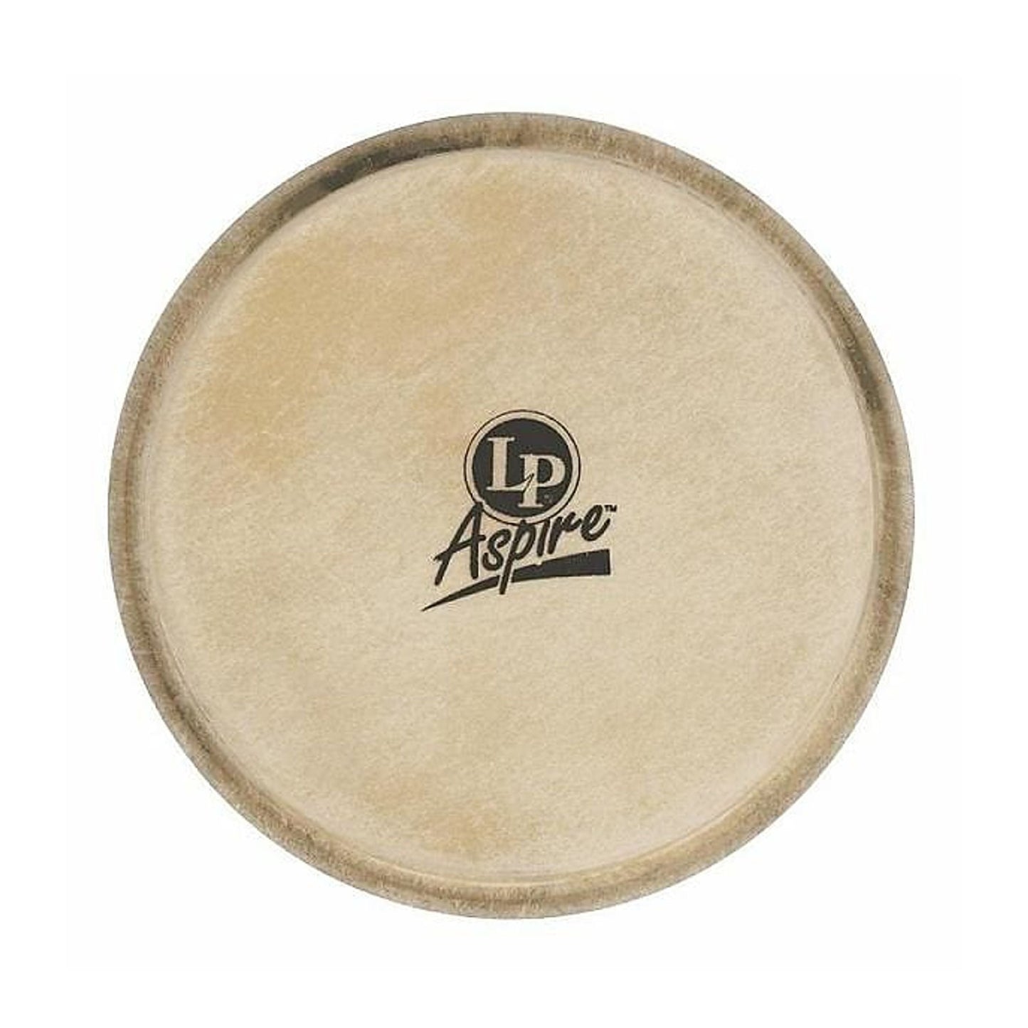 Aspire Bongo Head - 8"