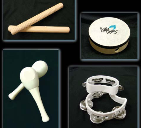 Little Wing Mini Instrument Kit