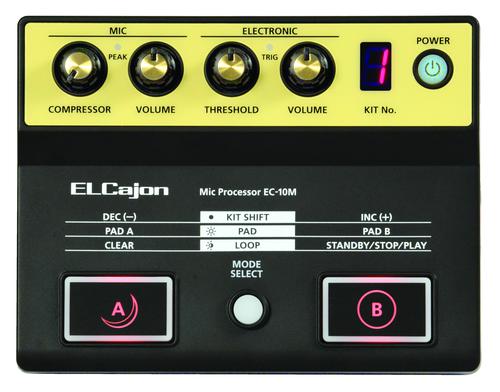 Roland Ec-10m El Cajon Mic Processor - **Brought these in only for Best Buy**
